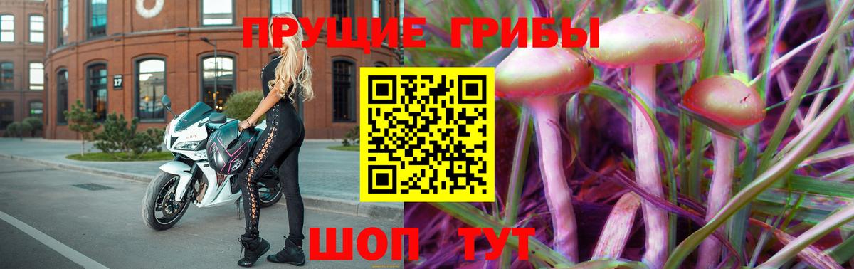 Псилоцибиновые грибы ЛСД Луга