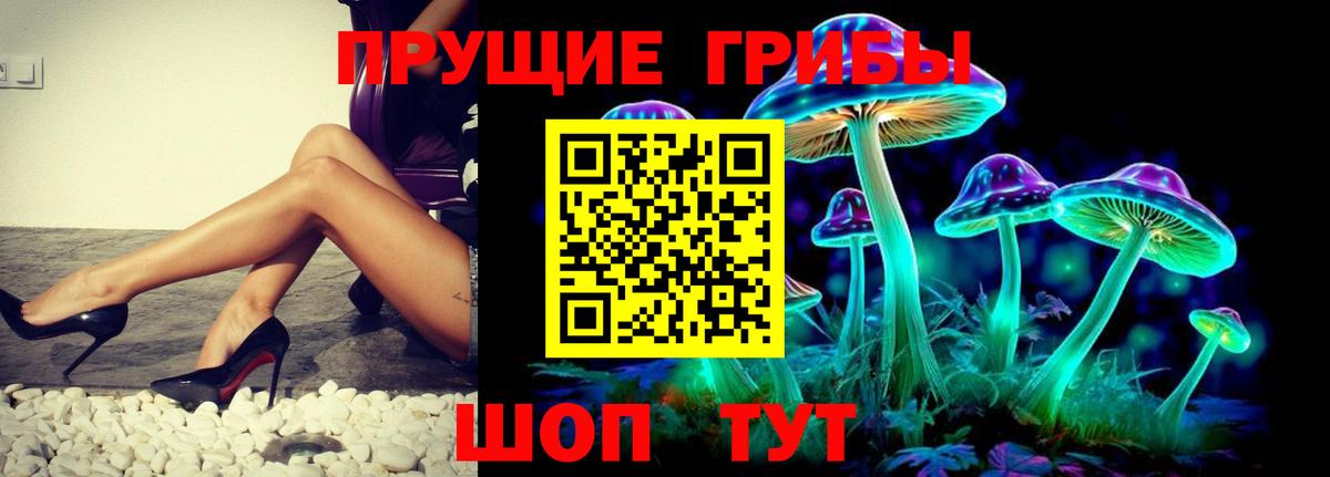 Луга  Галлюциногенные грибы Cubensis  Вход с VPN 